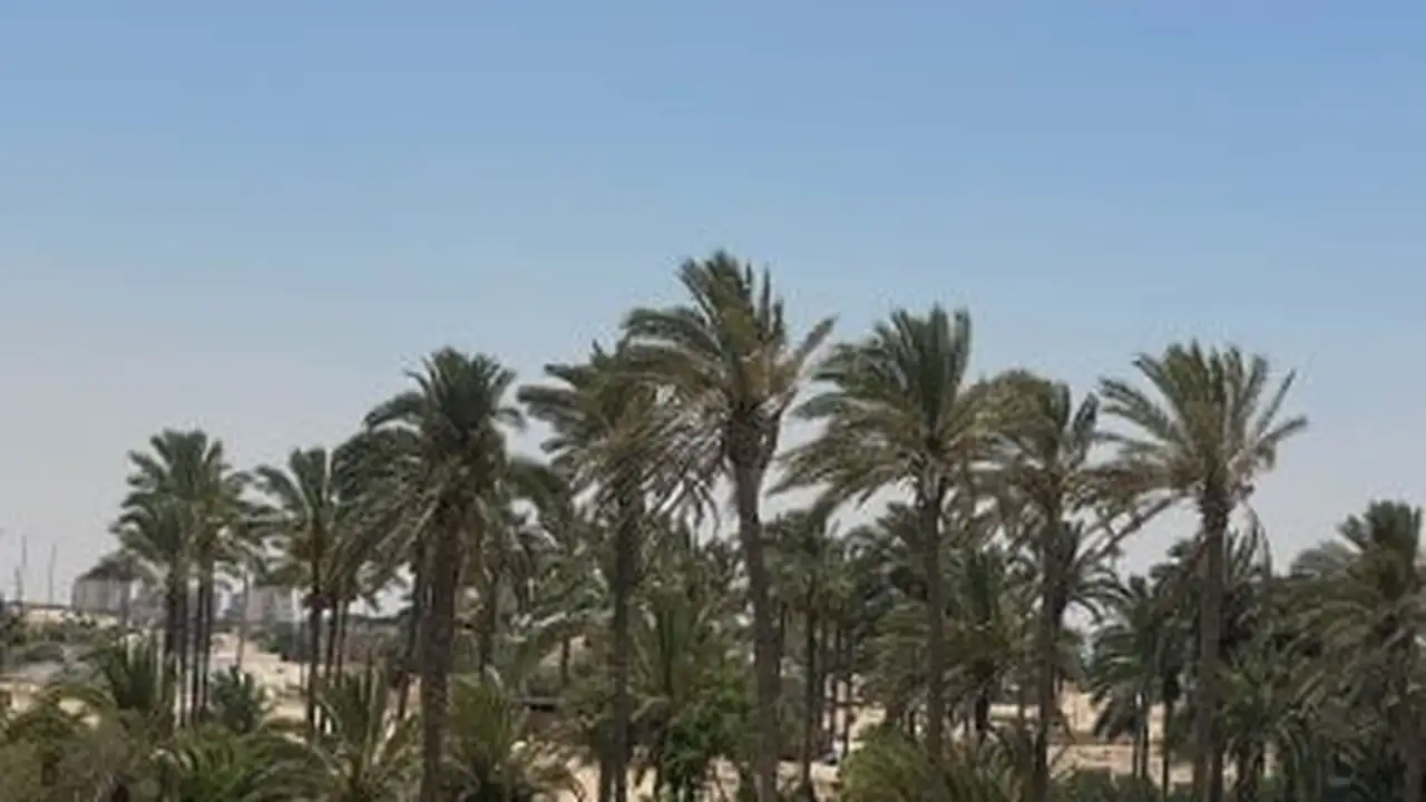 ارتفاع طفيف في درجات الحرارة مع استقرار الأحوال الجوية بشمال سيناء